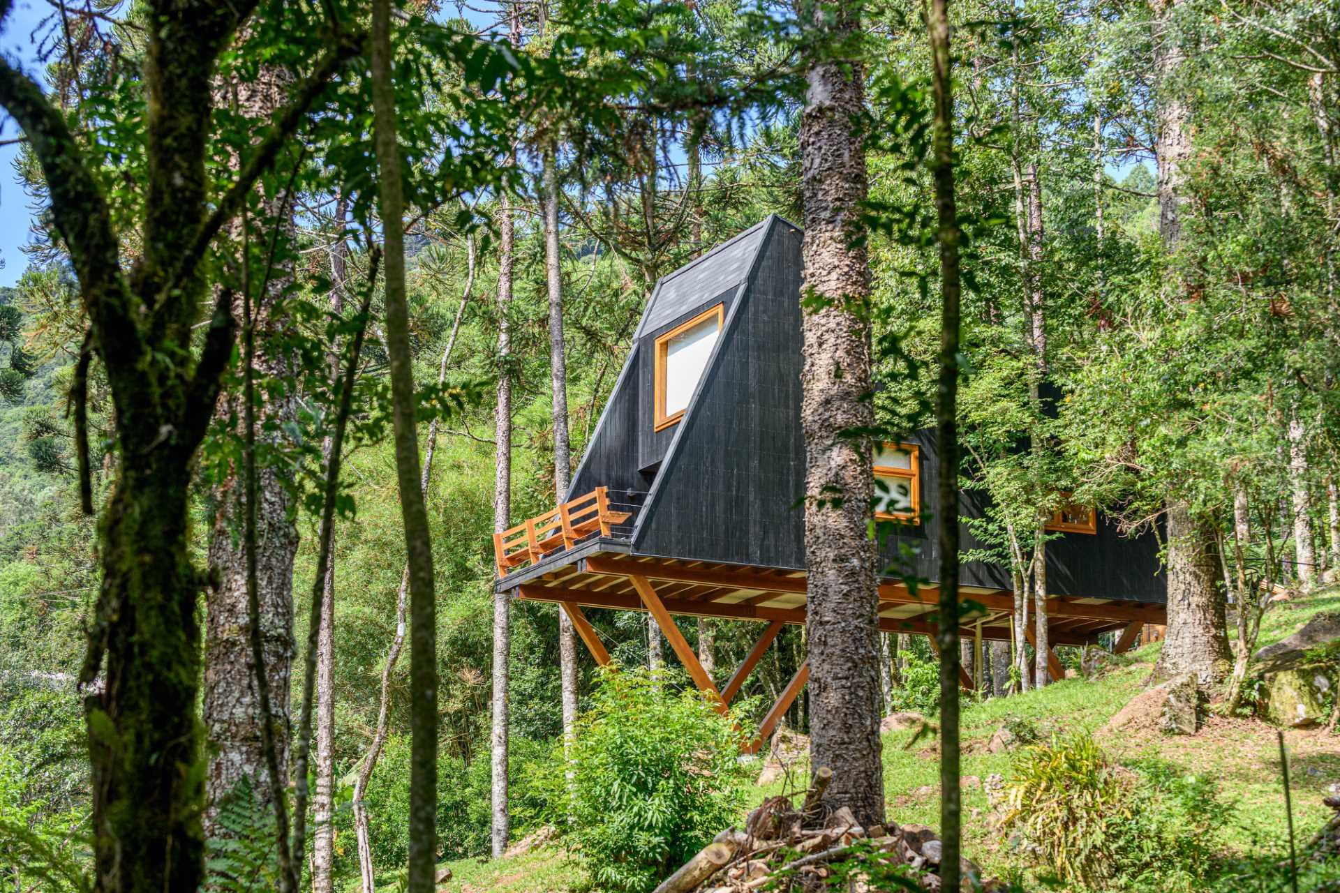 Floating Treehouse