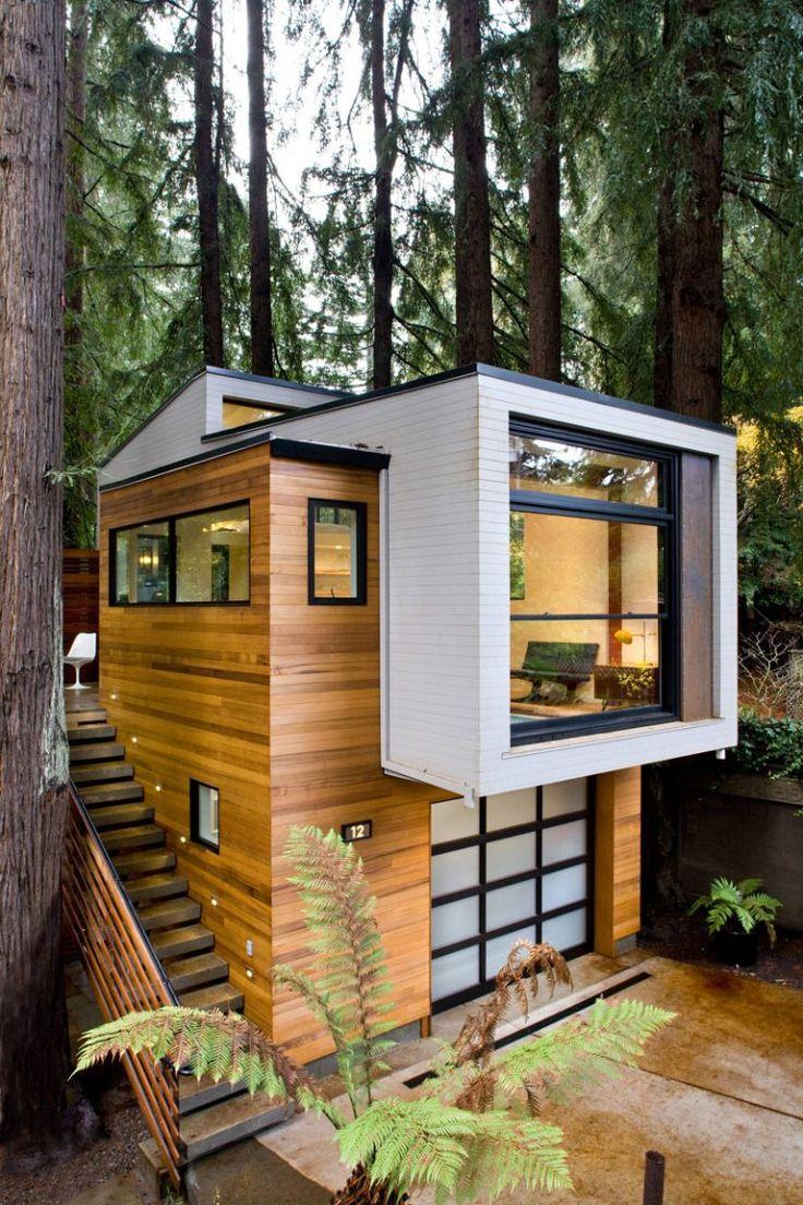 Tiny House in the Redwood Forest